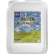 EDG - Super Anti Algues Piscine - Action Curative Anti