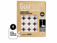 Guirlande boule lumineuse 16 led voice control - flocon