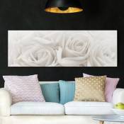 Impression sur toile - White Roses - Panorama Dimension: