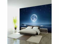 Paris prix - papier peint "moonlit night" 280 x 400