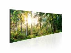 Tableau forest shelter taille 150 x 50 cm PD9775-150-50