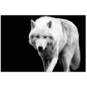 Affiche Portrait loup blanc - 60x40cm - made in France