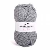 Laines Cheval Blanc - NEW SPOT fil à tricoter 100g