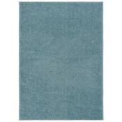 Le Poisson Qui Jardine - Tapis Salon Poils Courts. Bleu. 140 x 200. Design, Chaud & Confortable - Bleu