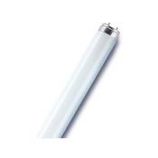 Osram - Tube fluorescent droit T8 opaque 2400 Lm 30 w blanc