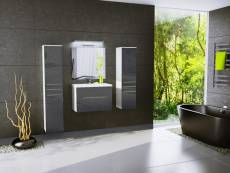 Salle de bain aquatic - 4 éléments -gris laqué et blanc mat