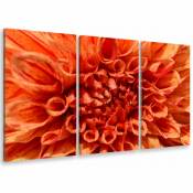 Tableau triptyque Tableau photo dahlia orange - 90x60 cm