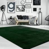 Tapis de salon Unicolore Lavable Pile courte et douce Vert, 200 cm carré - Paco Home