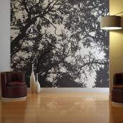 Papier peint panoramique forêt sombre 300x231 cm