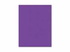 Papiers carton iris violet 185 g (50 x 65 cm) (25 unités)