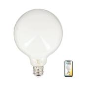 Kozii - Ampoule led connectée éclairage multi-blancs, Filament E27 G125 Opaque 7W cons. - KRFE806B125OCCT