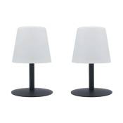 Lot de 2 lampes de table sans fil standy mini nano variable - 55 à 110 lumens - ø 10 x h 16 cm Lumisky