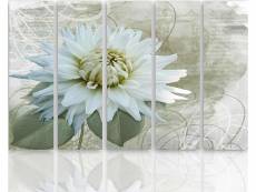 Tableau fleur blanche CAN/5-TYK-C/M_30130/250x120