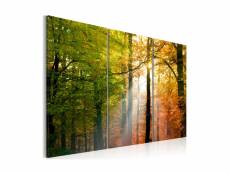 Tableau - forêt d'automne-60x40 A1-N1393