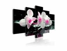 Tableau - rest of orchids-200x100 A1-N3290-DKX