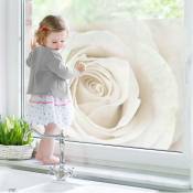 Micasia - Image de fenêtre Jolie White Rose - Dimension: 15cm x 22cm