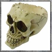 Nemesis Now Lobo 14.5cm Crâne Figurine Gothique Ornement