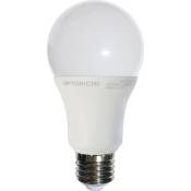 Ampoule E27 12W A60 équivalent 75W Optonica (Blanc Froid (6000K))