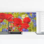 Bilderwelten - Crédence adhésive - Summer Meadow With Poppies And Cornflowers Dimension HxL: 50cm x 175cm Matériel: Smart