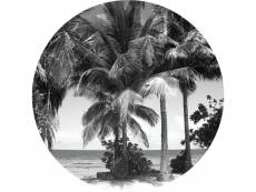 Photo murale ronde thème palmiers monochromes - 140