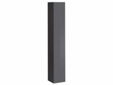 Vitrine verticale - switch sw 1 - l 30 cm x p 30 cm x h 180 cm - graphite