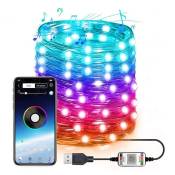 Smart Control Copper Wire Light téléphone portable app Copper Wire Light string Bluetooth usb Festival décoratif chaîne lumineuse,2 mètres 20 perles