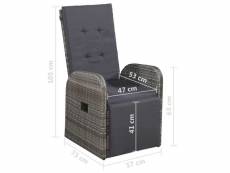 Vidaxl chaise inclinable de jardin et coussin résine tressée gris 47677