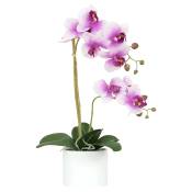 Orchidées artificielles fuchsia 55cm