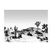 Papier peint noir et blanc Arizona - Edito