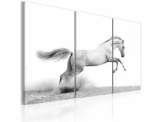 Paris prix - tableau imprimé "cheval au galop" 60 x 90 cm