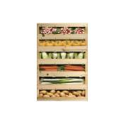 Plage - Sticker réfrigérateur et lave vaisselle, caisses légumes réalisme déco, 75 cm x 49 cm - Multicouleur