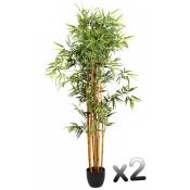 Lot de 2 plantes artificielles Bambou Pot, Hauteur