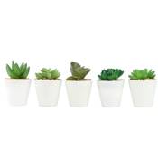 Lot de 5 Mini Plantes Succulentes Artificielles, Petites