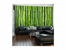 Papier peint mur vert bambou 2 l 350 x h 270 cm A1-FTNT0928