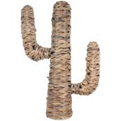 Signes Grimalt - Panier de décoration Cactus Brown