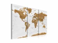 Tableau - world map: white poetry-90x60 A1-N6353-DK