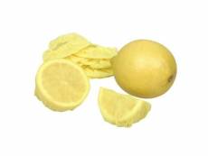 144 filets presse-citron 9150/1-12