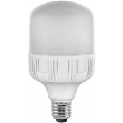 Fox Light - Ampoule led- haute puissance E27 30W 200°
