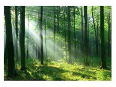 Papier peint intissé panoramique arbres vert forêt soleil 254x184 cm chambre salon photo non tissé muraux trompe l'oei