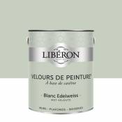 Peinture murs plafonds et boiseries Velours de peinture blanc edelweiss Liberon 2 5L