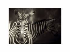 Tableau en verre acrylique zebra 130 x 90 cm