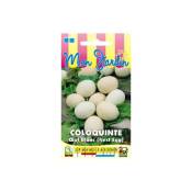 Graines Bocquet - Coloquinte Oeuf Blanc (Nest Egg) - 3g