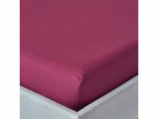 Homescapes drap-housse uni 180 x 200 cm 100 % coton égyptien 200 fils coloris prune BL1115D
