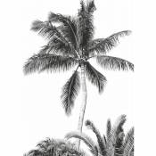 Komar - Papier peint panoramique Retro Palm - 200 x 280 cm de noir et blanc