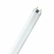 Osram tube fluorescent - osram lumilux t8 1 mètre - 36 watts - g13 - 4000k