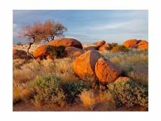 Papier peint - paysage africain, namibie 400x309 cm