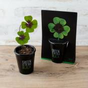 Radis Et Capucine - Pot black 6 cm - Trèfle à 4 feuilles