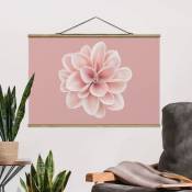 Tableau en tissu avec baguettes de suspension - Dahlia Pink Blush Flower Centered - Paysage 2:3 Dimension HxL: 23.5cm x 35cm Matériau: Chêne