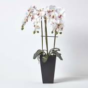 Fleur artificielle Orchidée coloris Blanc Pot Cubico