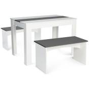 Idmarket - Ensemble table à manger et 2 bancs rozy 4 personnes blanc et gris 110 cm - Blanc